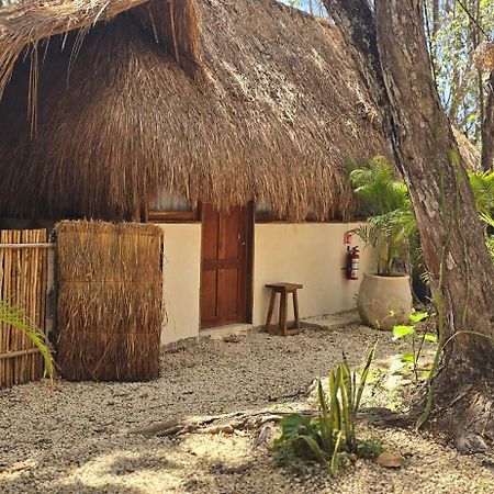 Hotel Kin Tulum Jungle Deluxe Eksteriør bilde