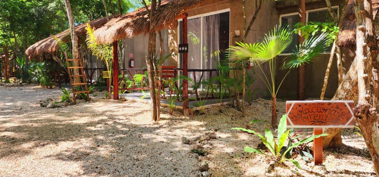 Hotel Kin Tulum Jungle Deluxe Eksteriør bilde