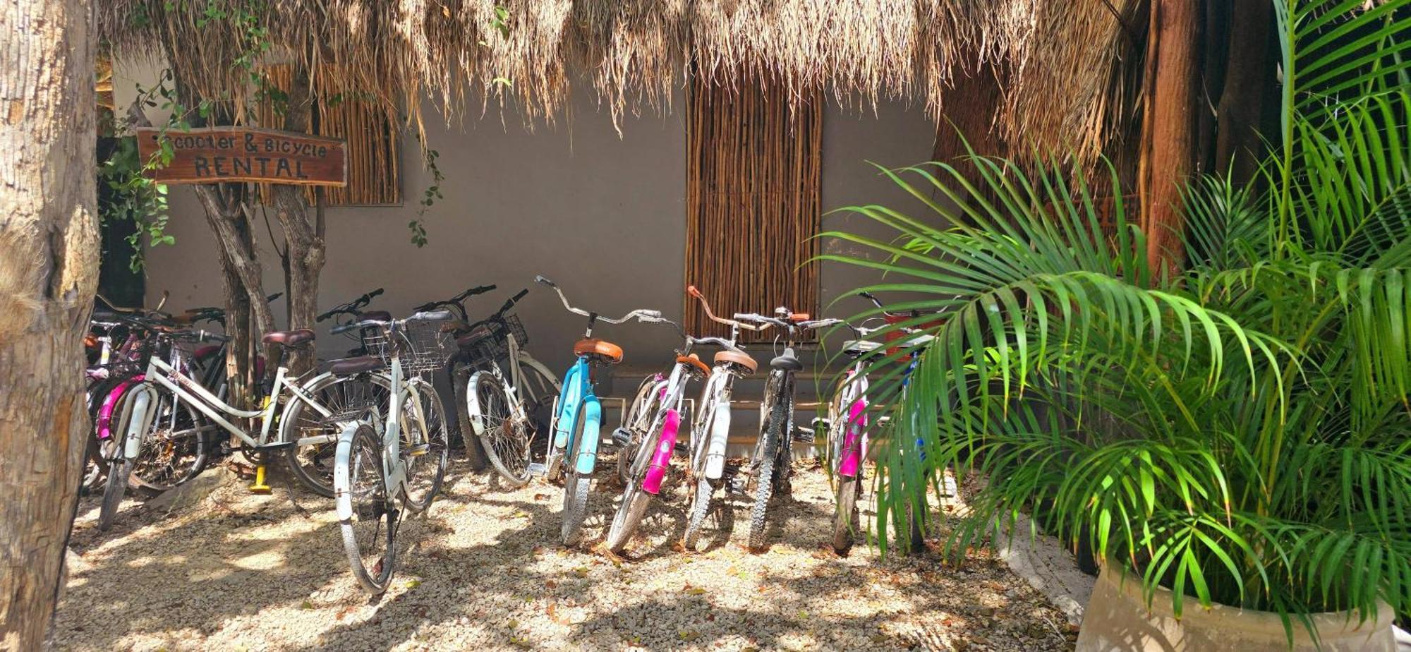 Hotel Kin Tulum Jungle Deluxe Eksteriør bilde