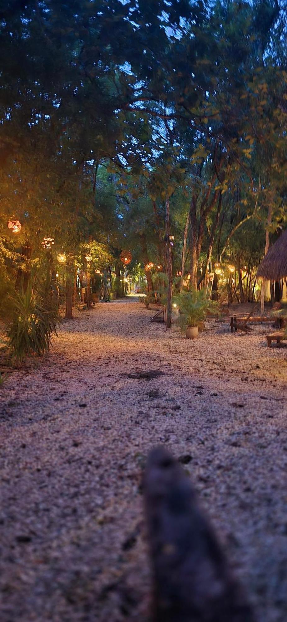 Hotel Kin Tulum Jungle Deluxe Eksteriør bilde